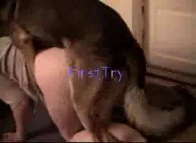 Video :Homemade beastiality sex with dog banging a girl